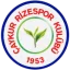 Rizespor