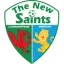 The New Saints